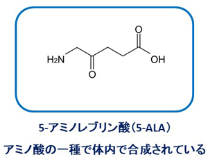 5-アミノレブリン酸（5-ALA）