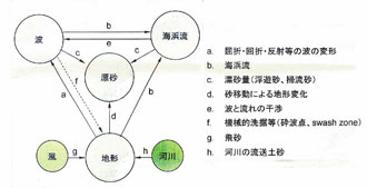 波・流れ・漂砂・地形の相互作用