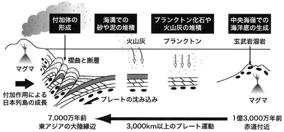 プレートの沈み込みと四万十帯（付加体）の形成