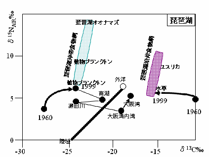 琵琶湖50年の窒素－炭素同位体マップ上の変遷史