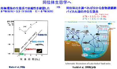 同位体生態学へ