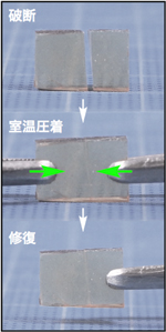 室温で圧着修復できる樹脂グラス