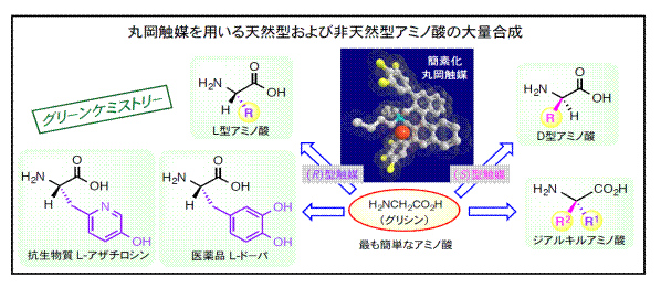 丸岡触媒を用いる天然型および非天然型アミノ酸の大量合成