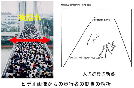 ビデオ画像からの歩行者の動きの解析