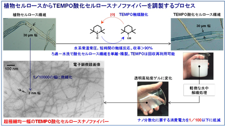 植物セルロースからTEMPO酸化セルロースナノファイバーを調製するプロセス