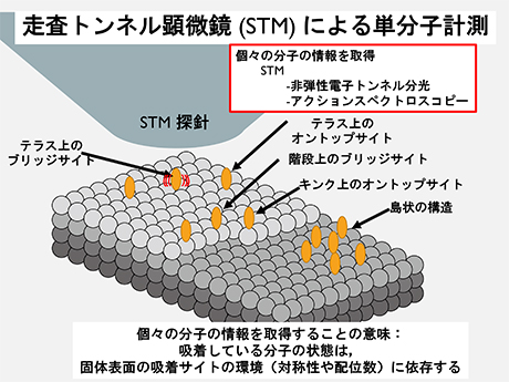 走査トンネル顕微鏡（STM）による単分子計測