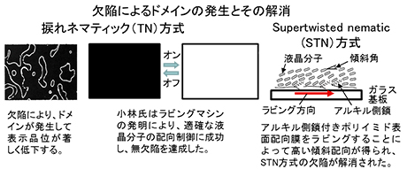 欠陥によるドメインの発生とその解消