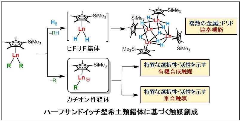 ハーフサンドイッチ型希土類錯体に基づく触媒創成