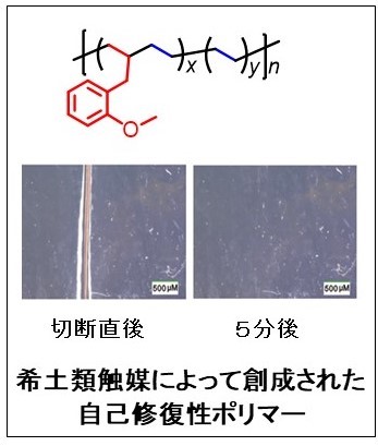 希土類触媒によって創成された自己修復性ポリマー