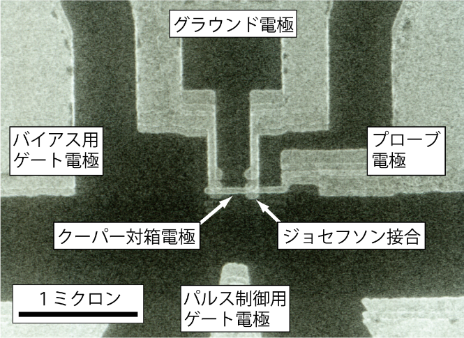 クーパー対箱