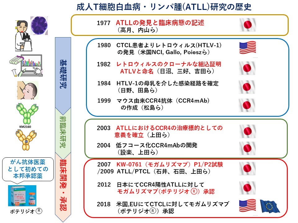 病態解明から治療薬開発まで日本が世界のATLL研究をリード