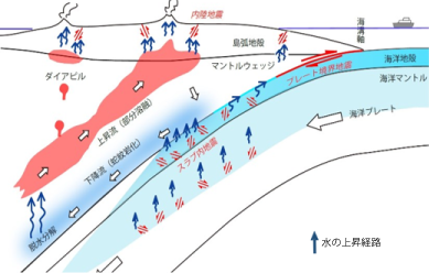 <b>病態解明から治療薬開発まで日本が世界のATLL研究をリード</b>