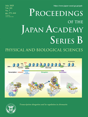 Vol. 101 No. 7 (2025)
