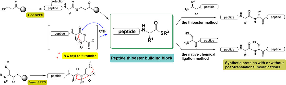 The concept of phytochemical genomics 