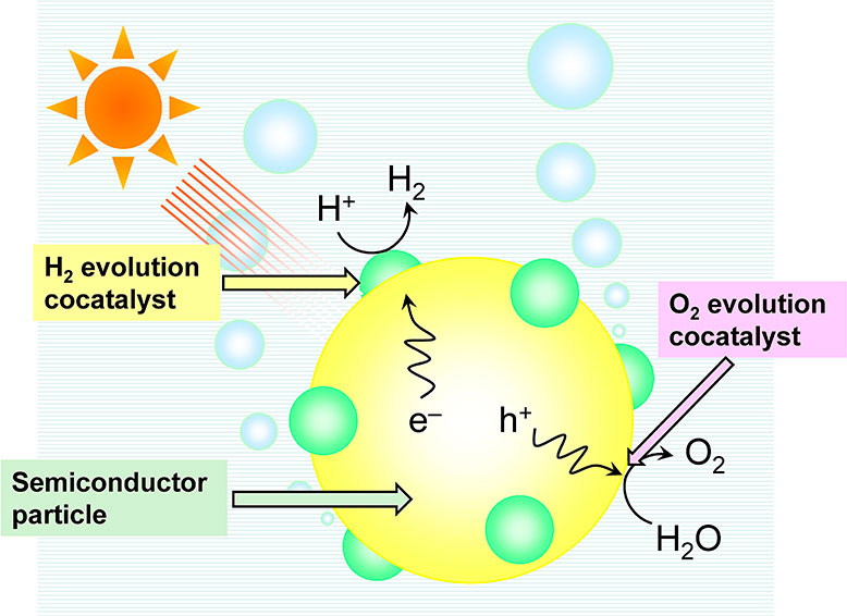 The concept of phytochemical genomics