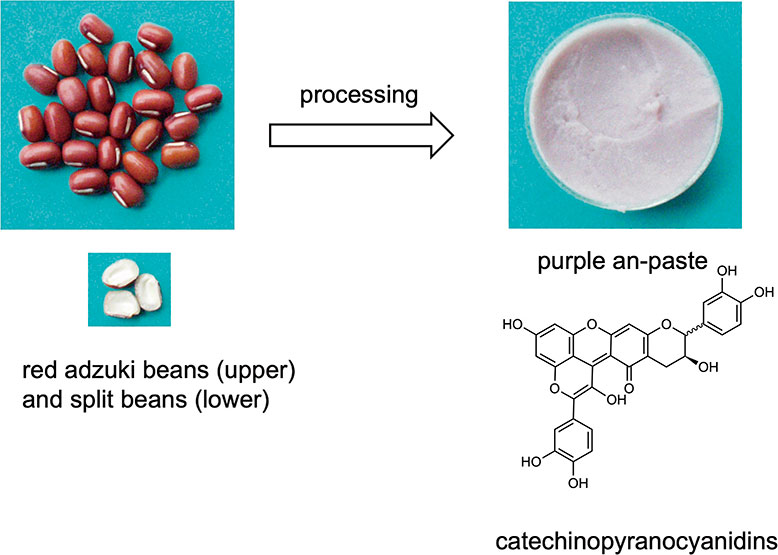 The concept of phytochemical genomics 