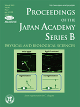 Vol. 91 No. 3 (2015)